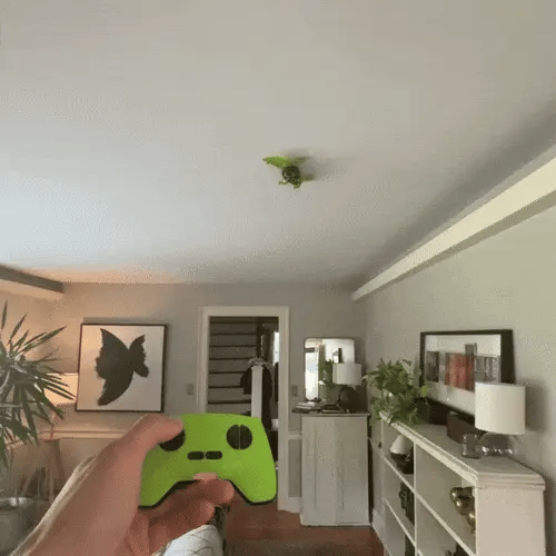 The Original GoGecko - Play Pack